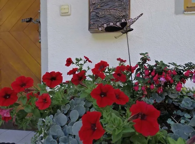 Aparthaus Bianca 사슈른